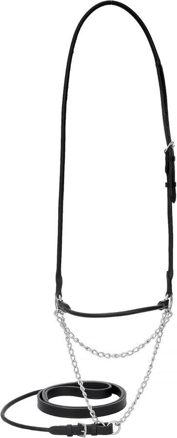 Luxe Presentatiehoofdstel Leer voor Paard Toernooi & Show Geschikt