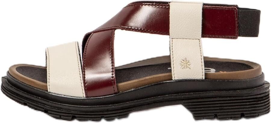 Merkloze Dames Sandalen Comfortabel & Stijlvol