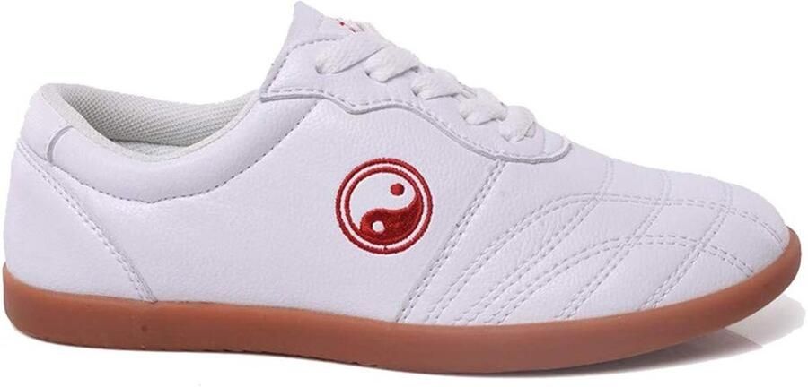 Omgoods Tai Chi Schoenen voor Martial Arts met Comfortabele Oxford Zool