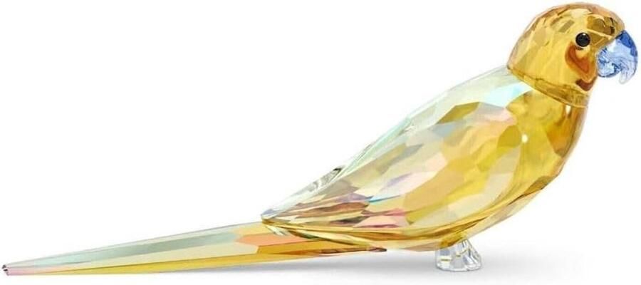 Parakeet Sandalen Kinderschoenen Zomerse Wandelingen Comfortabel Ontwerp 11.6 x 11.3 x Geel