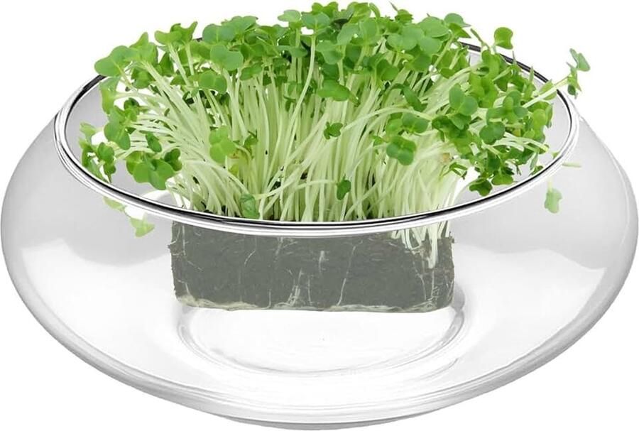 Plantenbak Transparante Glazen Hydrocultuur Woondecoratie Schaal Plantenbakken Voor Buitenplanten Voor Narcissen Vis Buiten Tuin Erf Patio Fontein Balkon En Kantoor