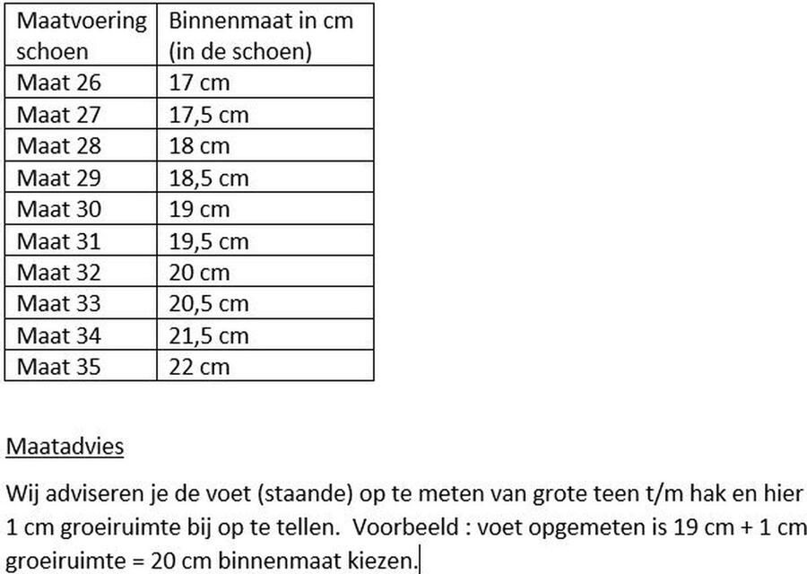 Prinsessen schoenen hakken meisje paars glitter binnen bij verkleedjurk verjaardag speelgoed - Foto 2