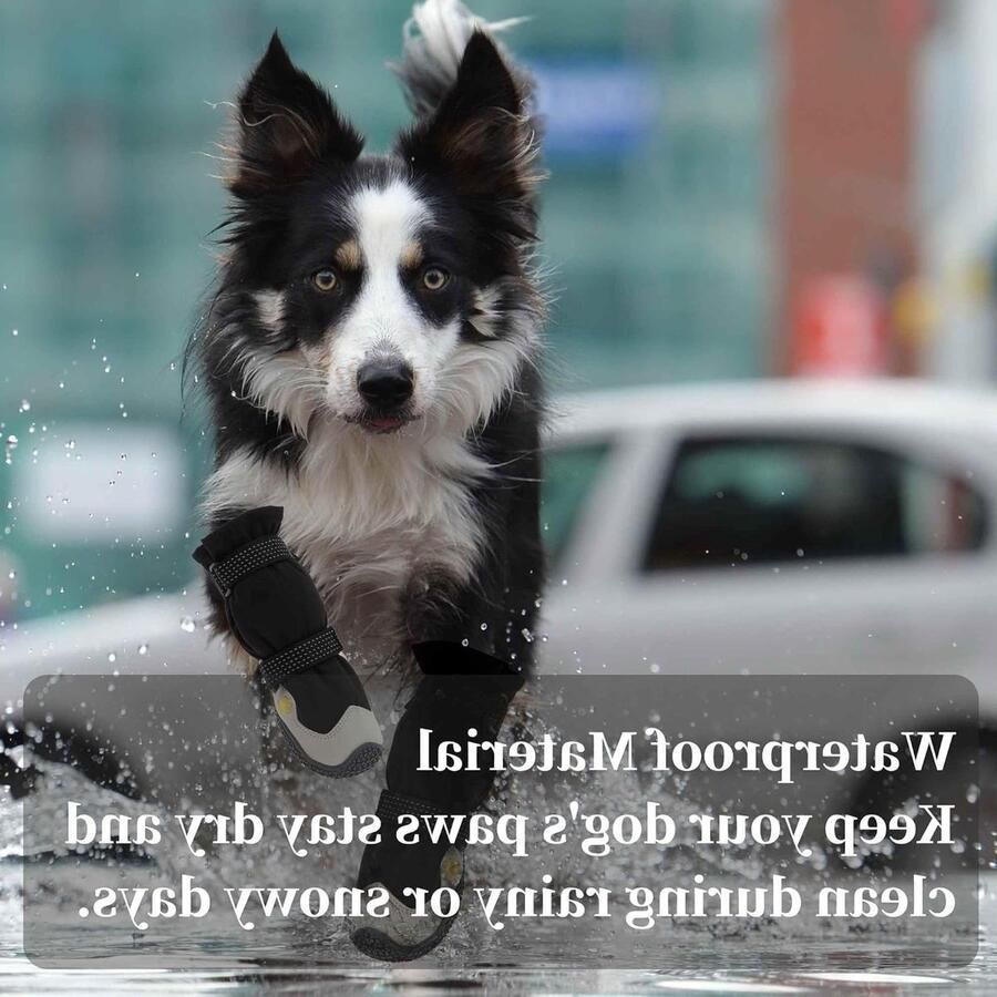 Reflecterende Honden Schoenen 4 Stuks Zwart Bescherming Comfort Antislip