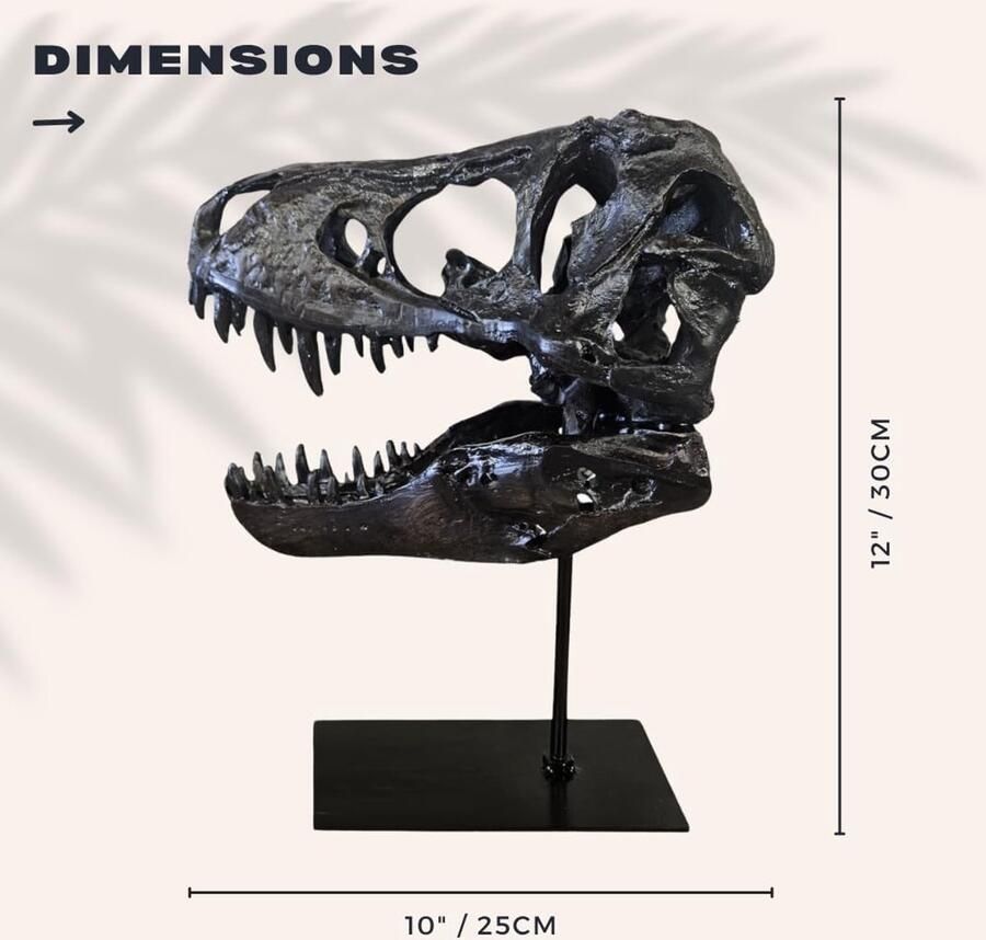 Schedel XXL op Metalen Standaard Replica Tyrannosaurus Rex Dinosaurus Fossiel Luxe decoratie 30x
