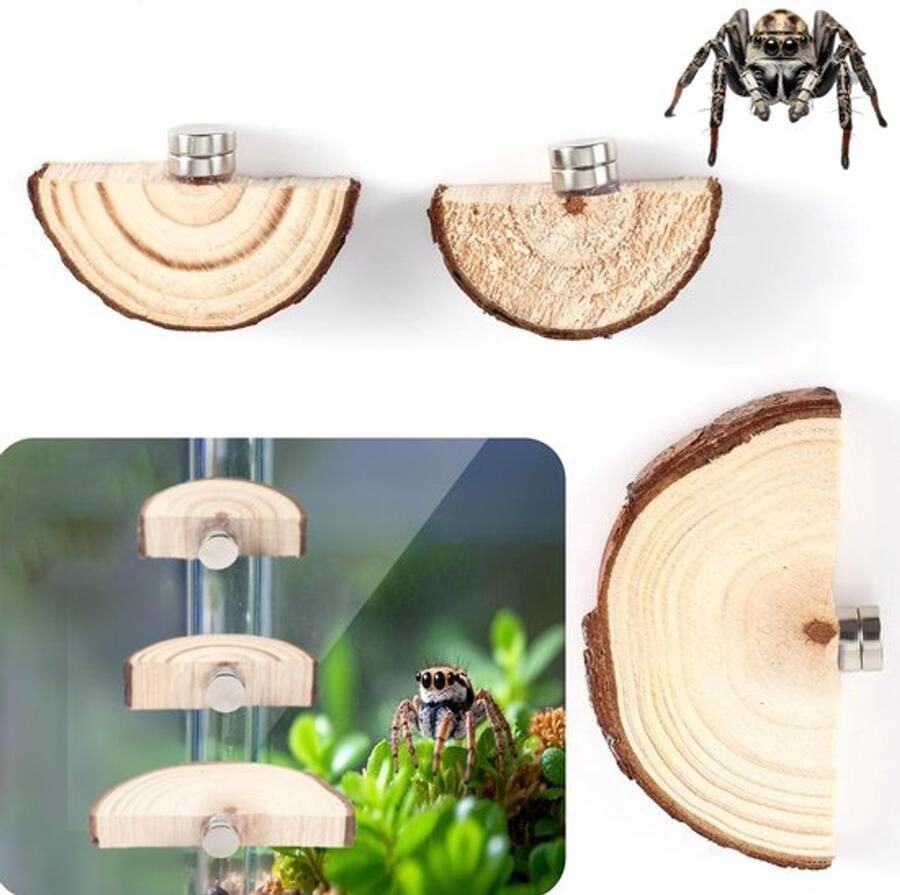 Set van 3 magnetische springspinnenverblijfrichels in boogvorm ideaal als accessoires voor het creëren van een natuurlijk habitat met stevige bevestiging