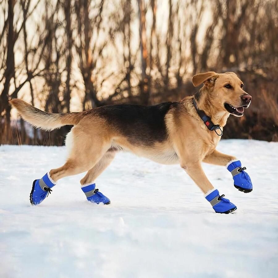 Set van 4 Hondenlaarzen met Reflecterende Bandjes Antislip Sokken en Bescher de Boots voor Kleine Middelgrote en Grote Honden