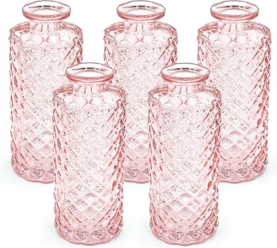 Set van 5 kleine Vaas glazen decoratie bruiloft Vaas Klein Vaas modern decoratie lente plantendecoratie droogbloemen set vazen (roze)