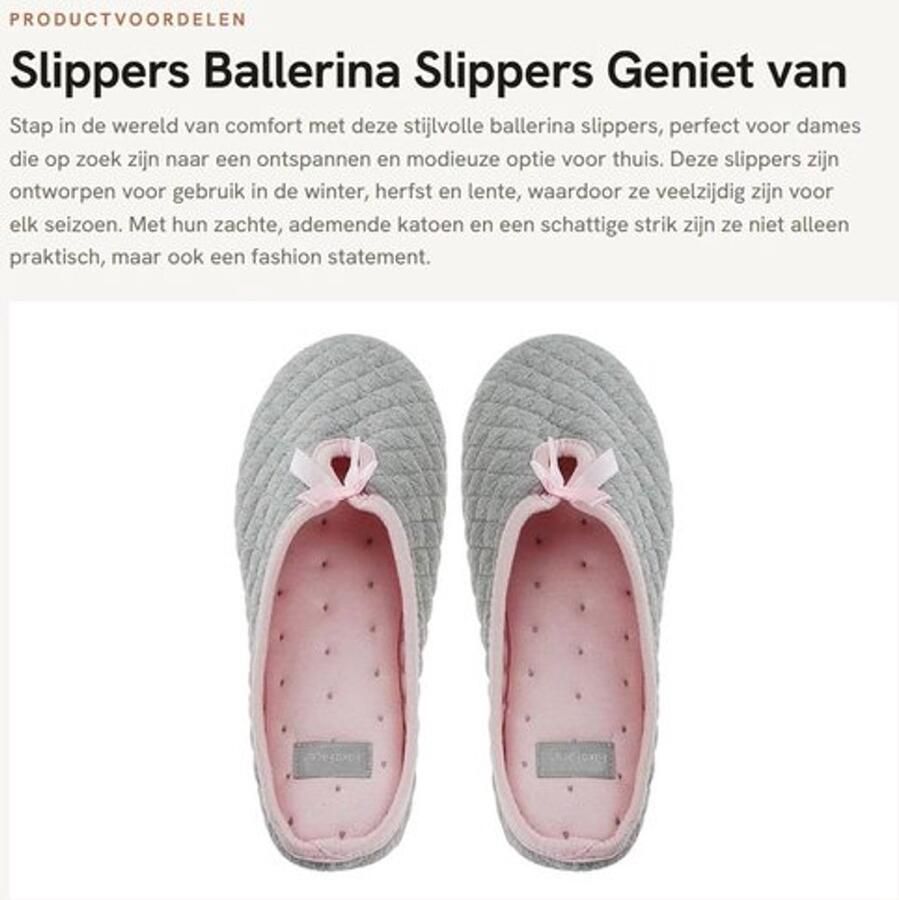 Slippers Dames Ballerina Slippers Antislip Grijs Geschikt voor Lente Herfst Winter Balletslippers
