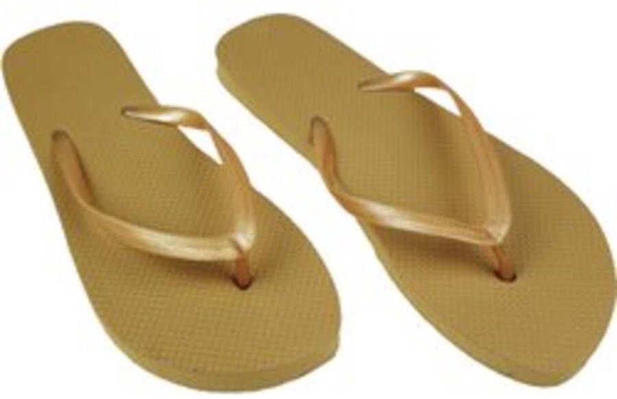 Slippers Taupe Teenslippers Inspired by Havaianas Lente