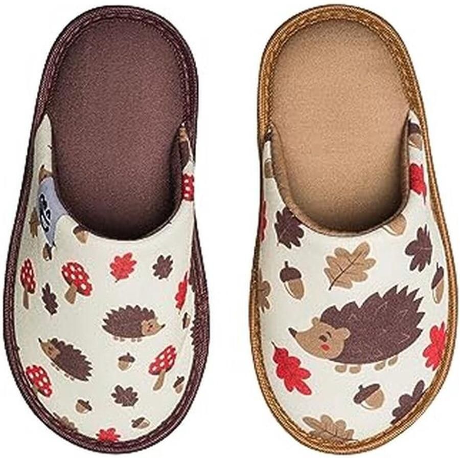 Slippers voor en Kinderen met Geheugenfoam en Grappige Ontwerpen