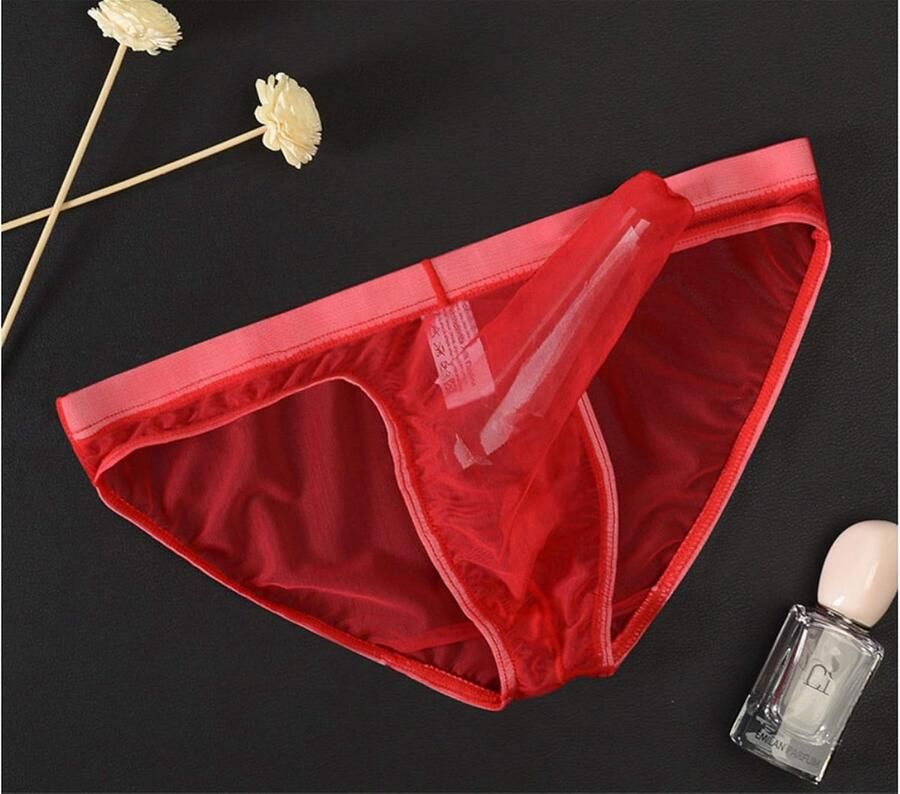 Slips Ondergoed Transparante Mesh See Through Slips Sexy Erotische Mannen Ondergoed Olifant Bulge Onderbroek