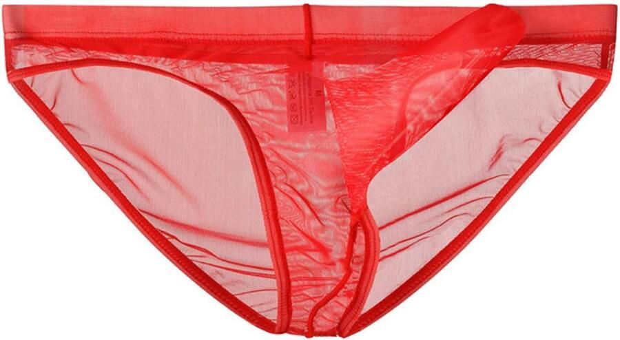 Slips Ondergoed Transparante Mesh See Through Slips Sexy Erotische Mannen Ondergoed Olifant Bulge Onderbroek - Foto 2