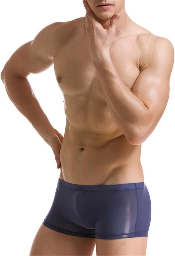 Slips van ijszijde naadloos ademend boxershorts transparant comfortabel