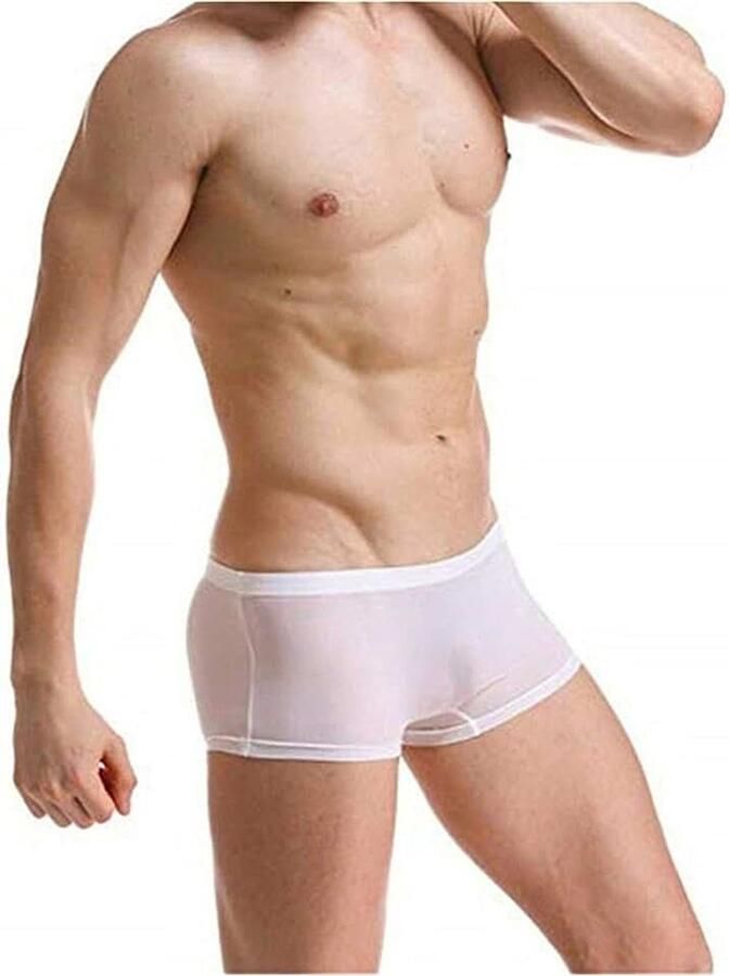 Slips van ijszijde naadloos ademend boxershorts transparant comfortabel
