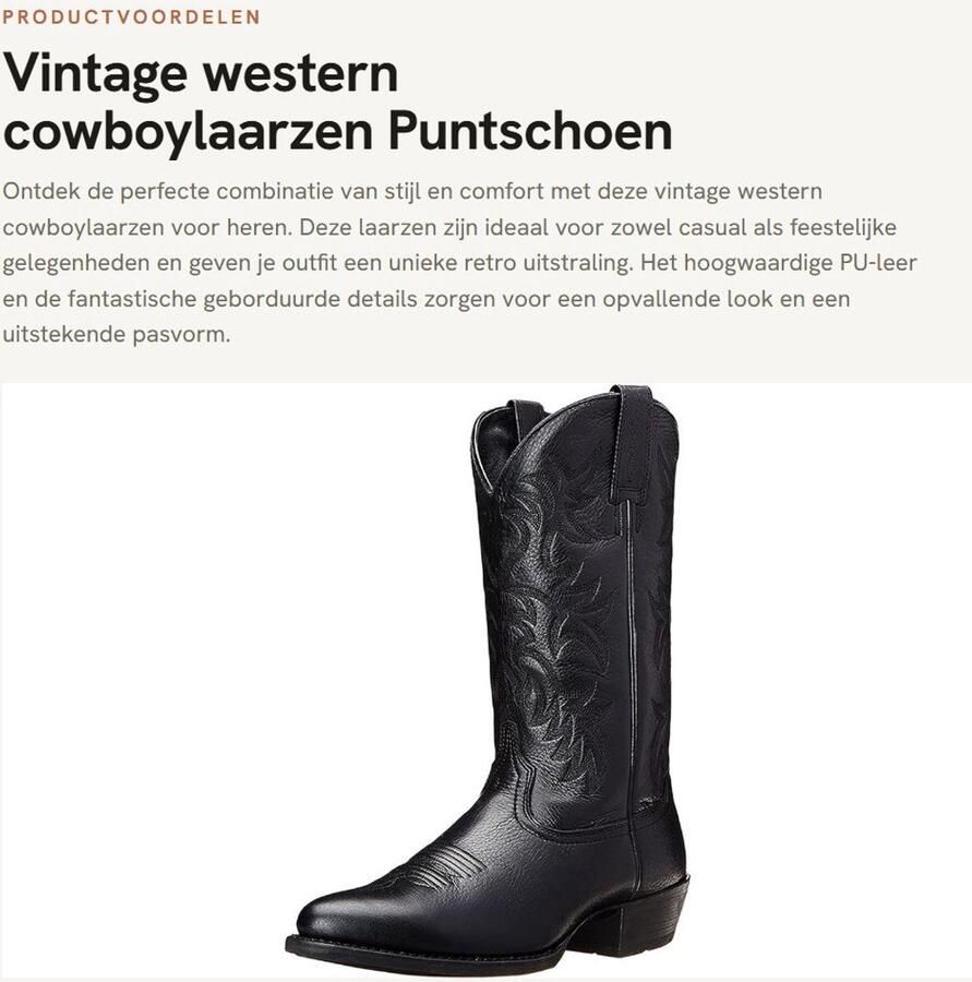 Dailygoods- Cowboylaarzen met geborduurde details Retro design Hoogwaardig PU-leer Slip-On Gummisohle Comfortabel en zacht Westernlaarzen
