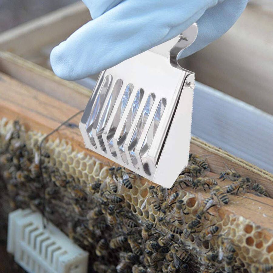 Stainless Steel Queen Cage Clip Bee Catching Tool for Beekeepers Helps Bees Catch Quickly and Safely Material