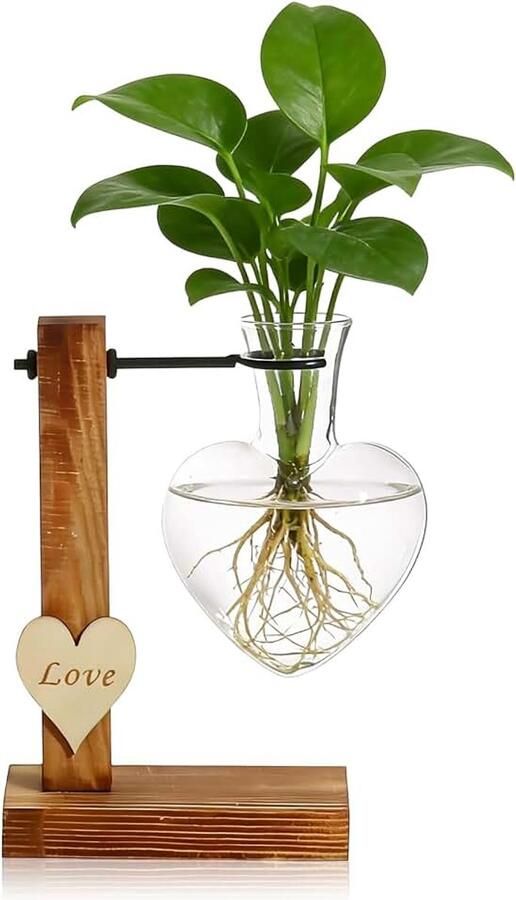 Standaard glazen plantenterrarium hart-glazen hydrocultuurvazen plantenvermeerderingsstation tafelplantenbak voor bloemen hydrocultuur-bloemvaas kleine vazen tafeldecoratie (wit