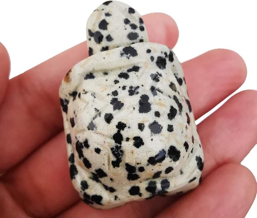 Steen kristal schildpad 40 mm kleine schildpad dierfiguur tas standbeeld sculptuur Dalmatië Jasper