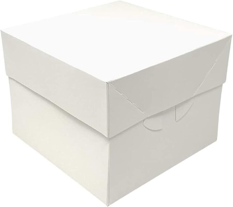 Taartdozen voor het vervoer van taarten met deksels (30 4 x