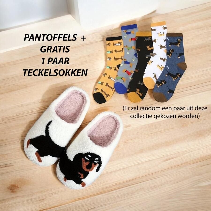 Teckel hond sloffen pantoffels wit slippers zwarte teckel teckelprint inclusief 1 paar teckelsokken teckel sokken