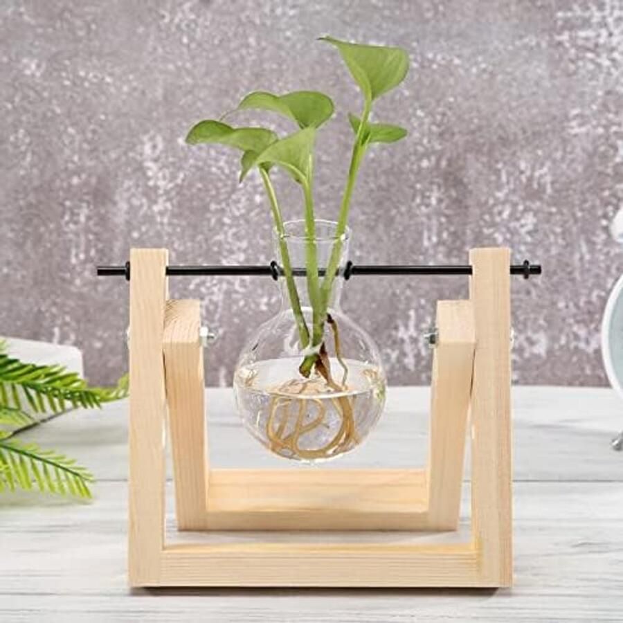 Vaas Bloemen Vaas Transparant Glas Vaas Houten Frame IJzer Kunst Terrarium Bonsai Tafel Ornamenten Glas en Hout Vaas Planter Terrarium Tafel Desktop (Kleur: Bourgondië)