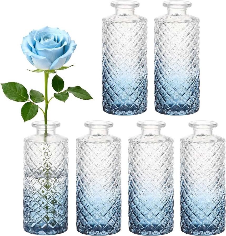 Vazen 6 stuks Mini Glazen Vazen vintage voor Bruiloftsdecoratie Tafeldecoratie Woondecoratie (Blauwe verloop)