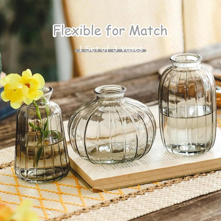 Vazen decoratie mini-vazen set van 3 stuks voor woonkamer thuis esthetische tafel hal raam kamer decoratie grijs