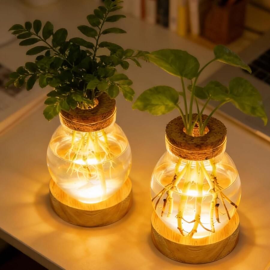 Vazen glazen bloemenvaas plant propagatiestation met houten basis 3 lichtmodi 3 niveaus dimbare ledverlichting hydrocultuur planten vermeerderingsstation voor kantoor