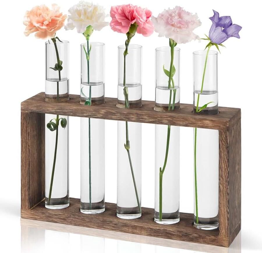 Vintage bloemenvaas reageerbuizen met standaard reageerbuis vaas Planten tafeldecoratie mini-vaas voor tafeldecoratie thuis kantoor woonkamer eetkamer keuken wortels en afleggen