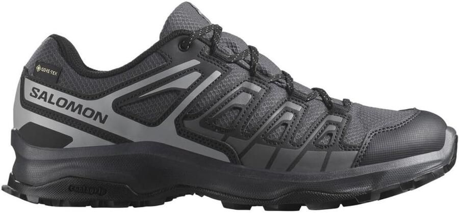 Wandelschoenen Heren Outdoor Schoenen Trekking Lopen Waterdicht Gore-Tex Zwart
