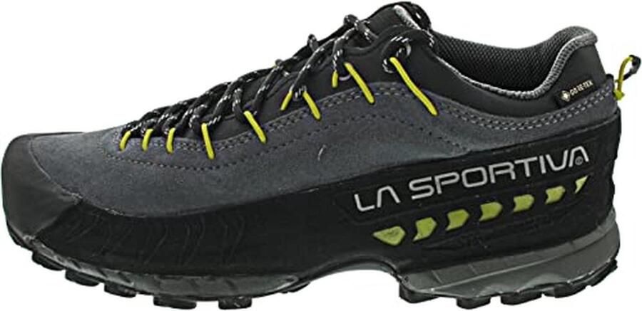 Wandelschoenen voor heren TX4 GTX met Gore-Tex