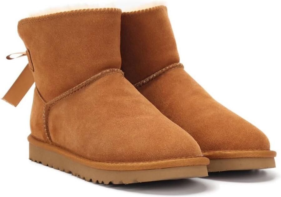 Warme Dames Winterlaarzen Antislip Thermo Snowboots met Zachte Voering