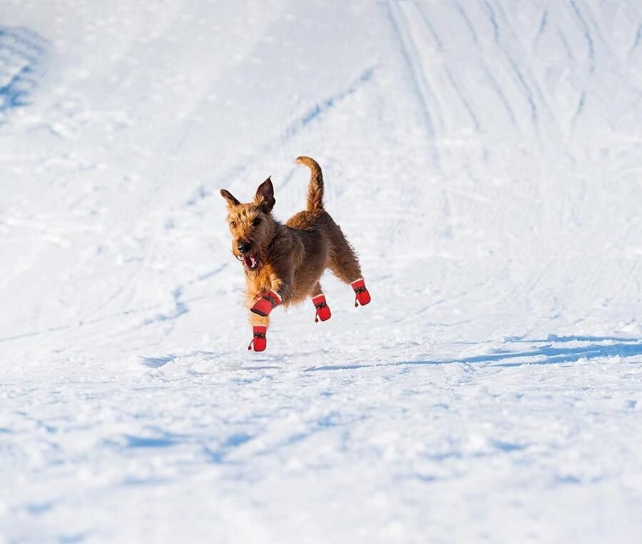 Hondenlaarzen voor Kleine Honden Winterse Bescherming voor Pootjes Antislip Sneakers met Reflecterende Bandjes Comfortabele en Warme Zolen (5*