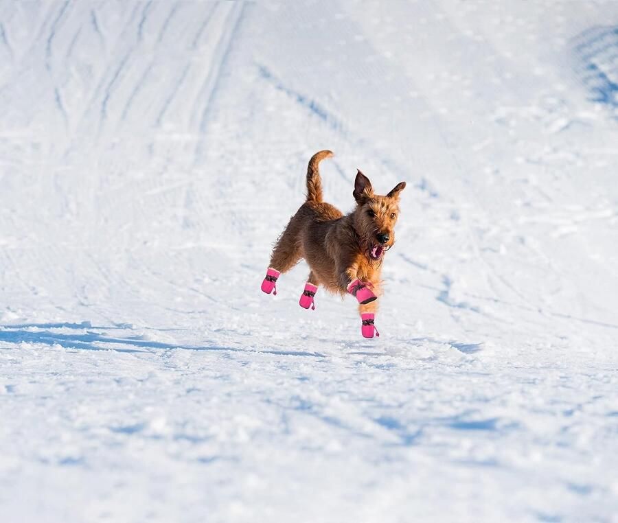 Warme en Comfortabele Winterlaarzen voor Kleine Honden Zachte Zool Antislip Sneakers met Reflecterende Bandjes (7 x Roze)