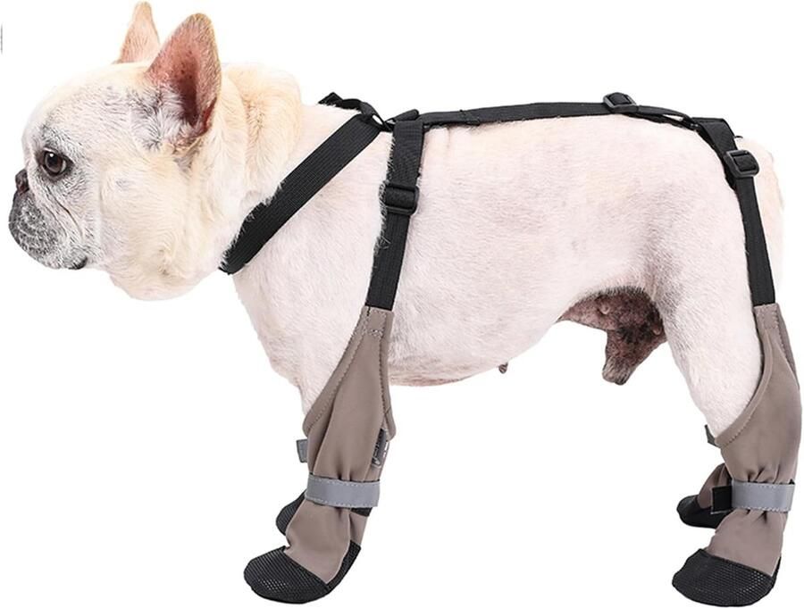 Waterdichte hondenlaarzen antislip en warm voor kleine en middelgrote honden ideaal voor buitenactiviteiten en bescherming van de pootjes