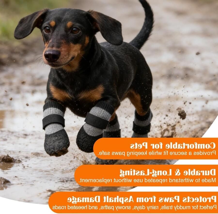 Waterdichte Hondenschoenen Maat M Set van 4 Antislip Pootbescherming voor Kleine Honden Ideaal voor Wandelen en Buitenactiviteiten Schoenbreedte Geschikt voor Honden 3 5–5 kg