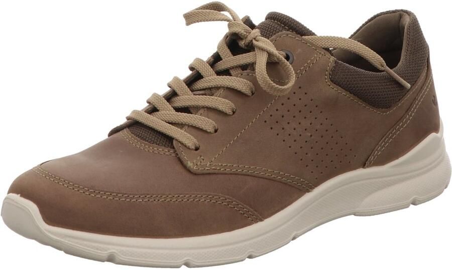 ECCO Baskets Irving
