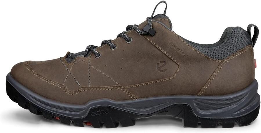 ECCO Receptor Trekk wandelschoenen heren Nutmeg Brown