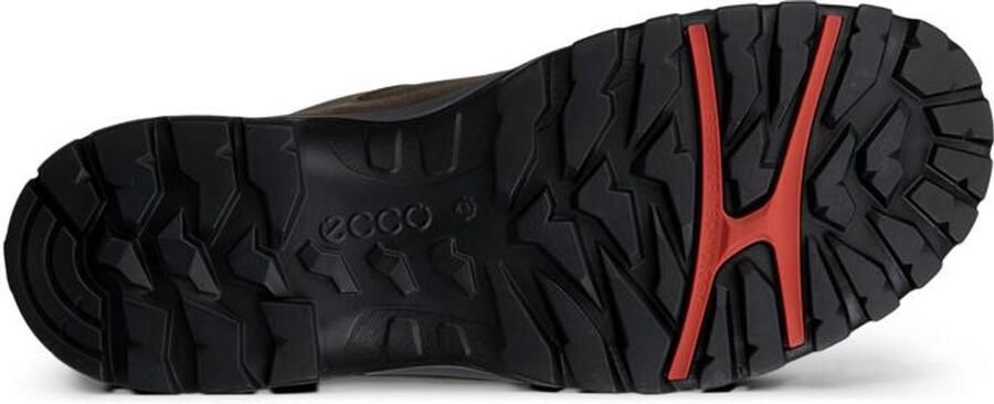 ECCO Receptor Trekk wandelschoenen heren Nutmeg Brown