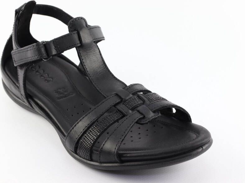 ECCO Flash