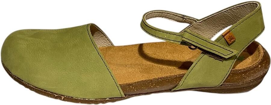 El Naturalista N412 liken
