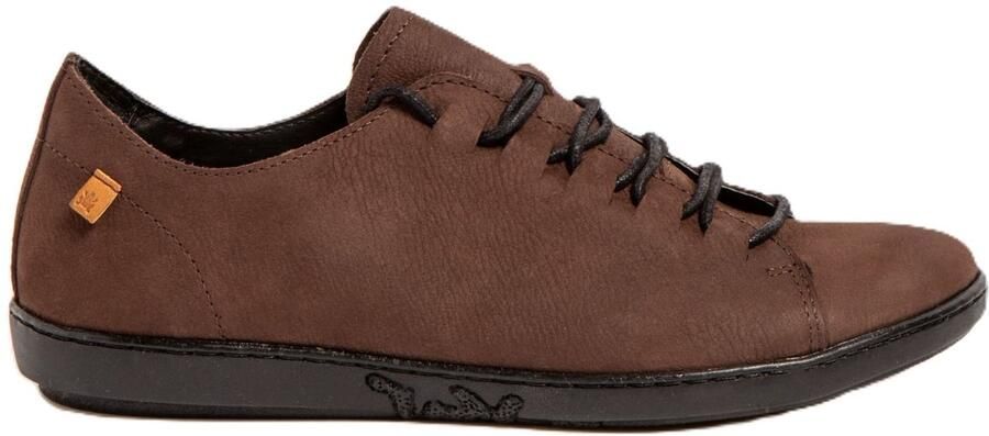 El Naturalista N5368 Pleasant Coral