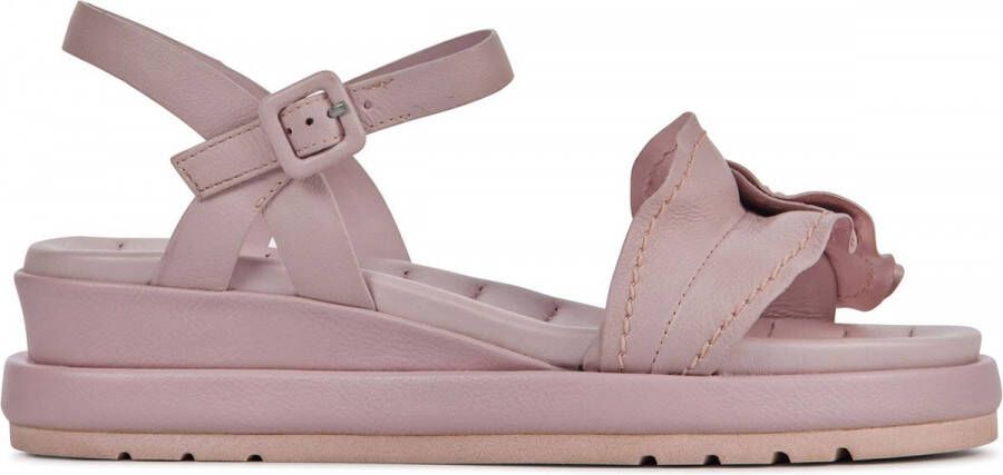 Elvio Zanon Sandalen Dames Damesschoenen Leer Blokhak hoogte 4 cm EQ0809X Lila