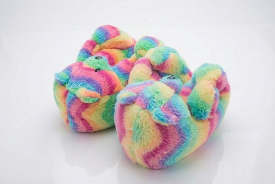 Emojishop Grappige pantoffels Beren sloffen Regenboog One size fits all t m 38 voor Kinderen en Beer Pantoffel Pluche dierenpantoffels zachte binnenschoenen Sloffen en Pantoffels