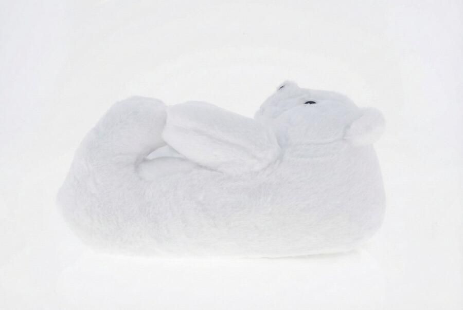 Emojishop Grappige pantoffels Beren sloffen Wit One size fits all t m 38 voor Kinderen en Beer Pantoffel Pluche dierenpantoffels zachte binnenschoenen Sloffen en Pantoffels