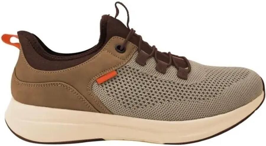 ENDURANCE Baskets Belivo StepGo