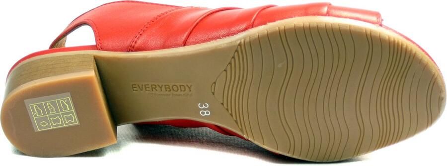 Everybdy Everybody Ixia 28218B Rood