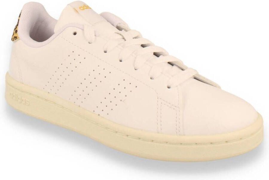 adidas Advantage dames sneaker WIT