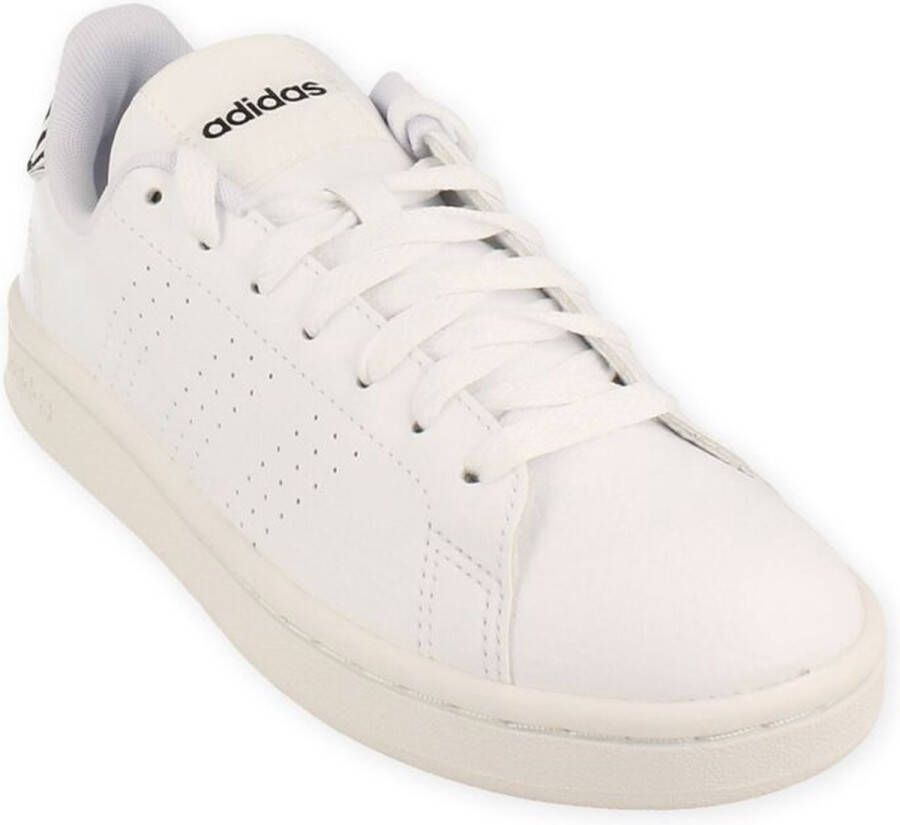 adidas Advantage Witte Sneakers Wit