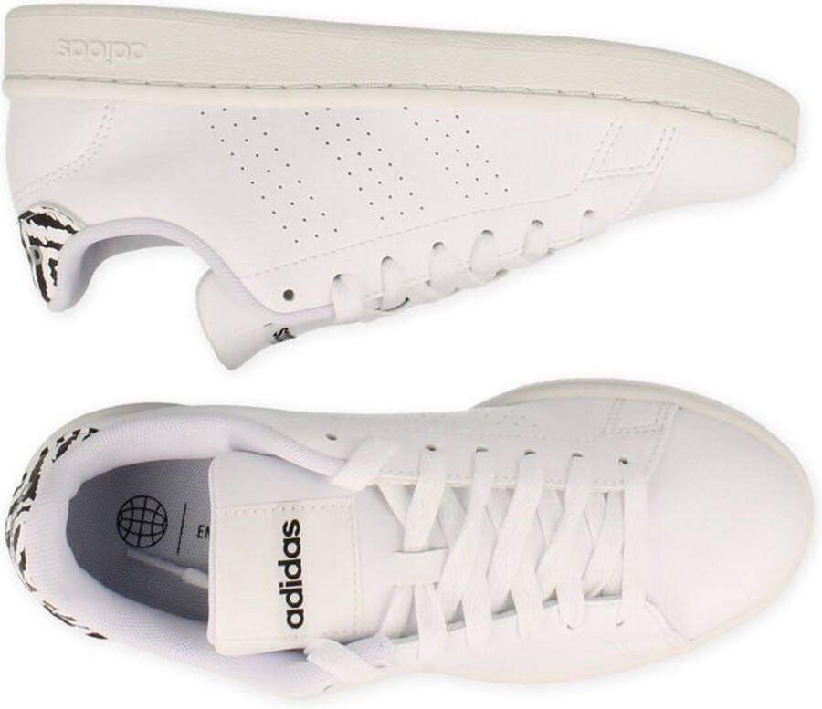 adidas Advantage Witte Sneakers Wit